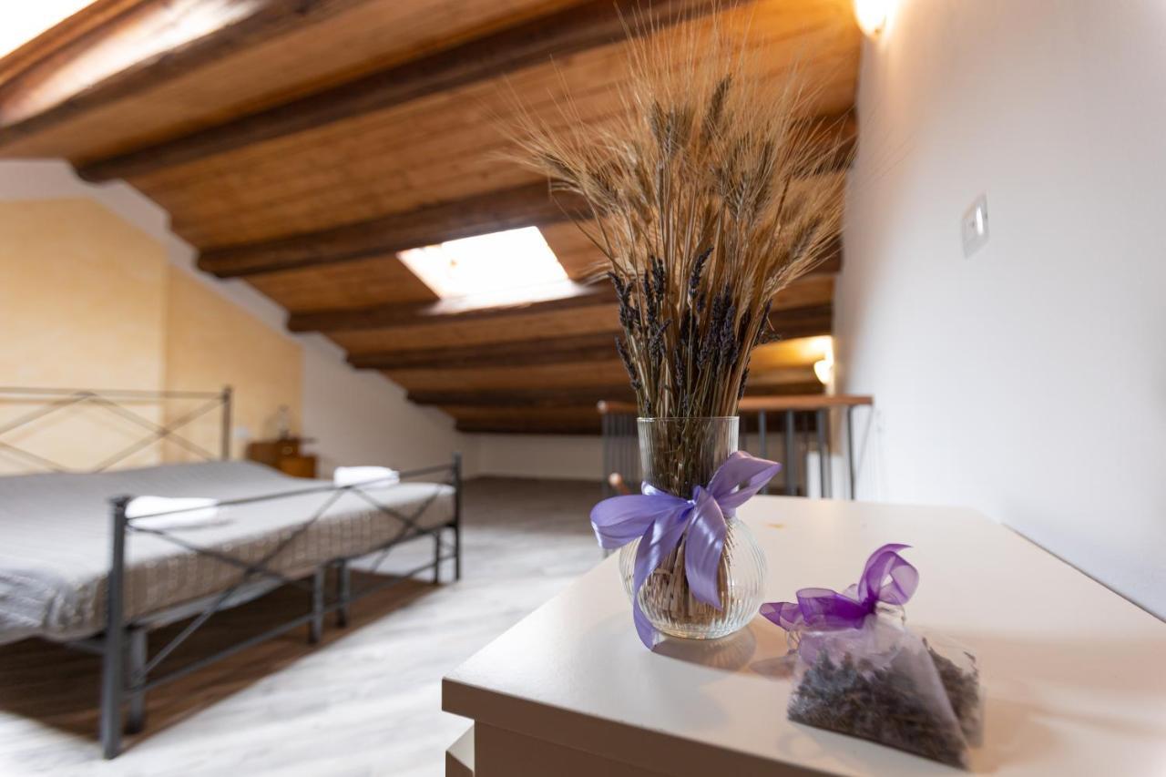 Agriturismo La Valle Della Lavanda - Podere Mezzastrada Fauglia Buitenkant foto