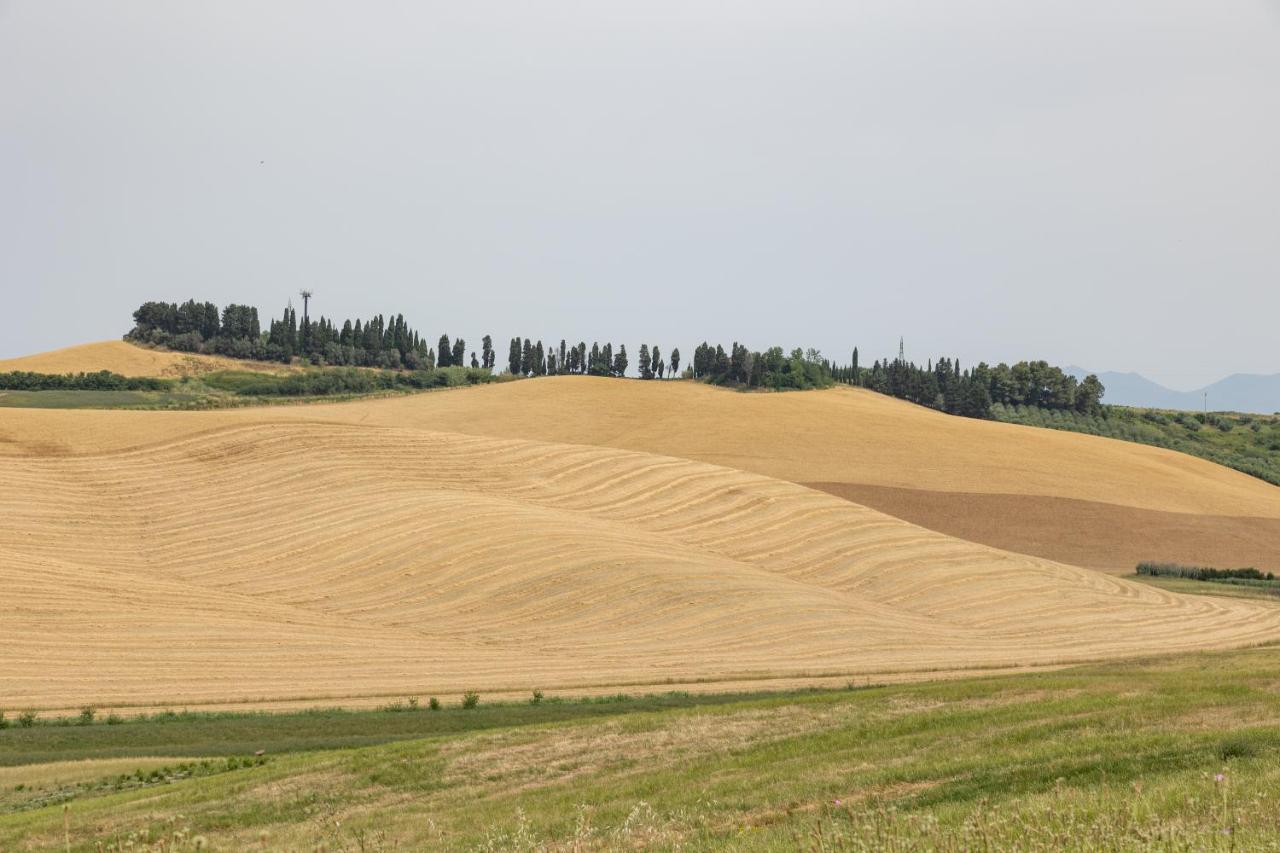 Agriturismo La Valle Della Lavanda - Podere Mezzastrada Fauglia Buitenkant foto