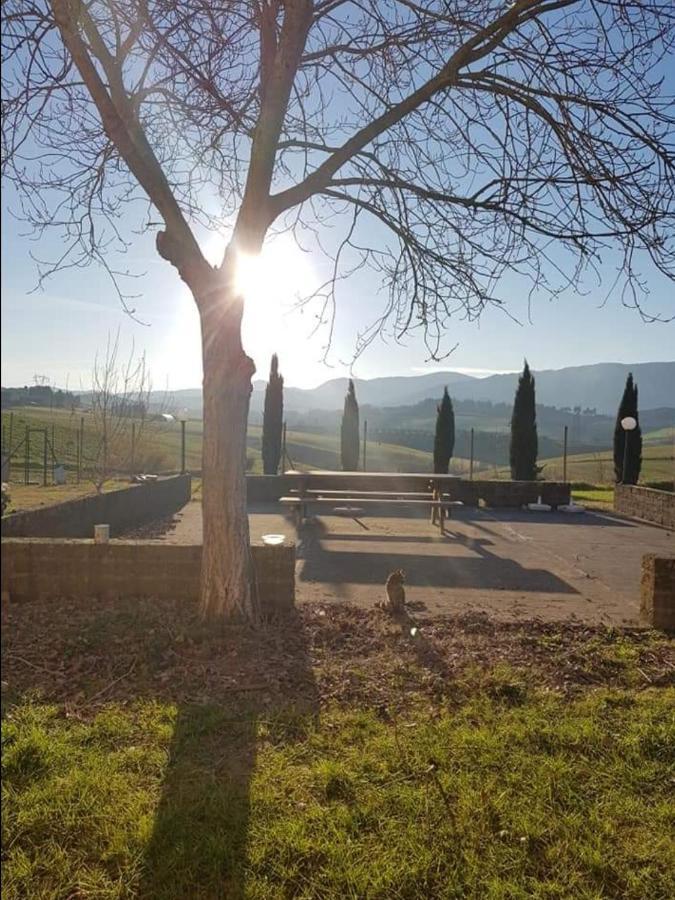 Agriturismo La Valle Della Lavanda - Podere Mezzastrada Fauglia Buitenkant foto