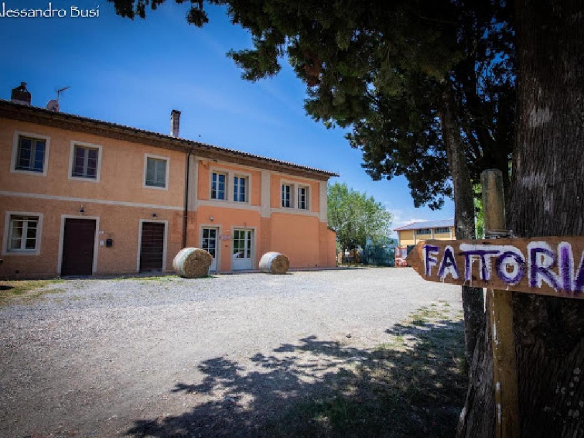 Agriturismo La Valle Della Lavanda - Podere Mezzastrada Fauglia Buitenkant foto